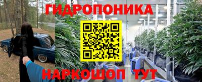 Альфа ПВП Славянск-на-Кубани
